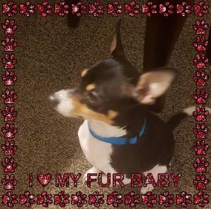 Meet your Posher, Barbie